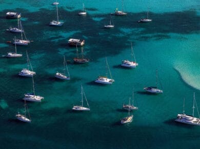 Bateaux amarrés sur côte martiniquaise