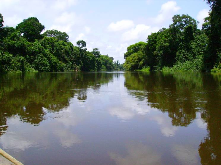 Paysage fleuve Cameroun