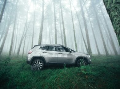 Une voiture dans en foret en nouvelle Zélande.