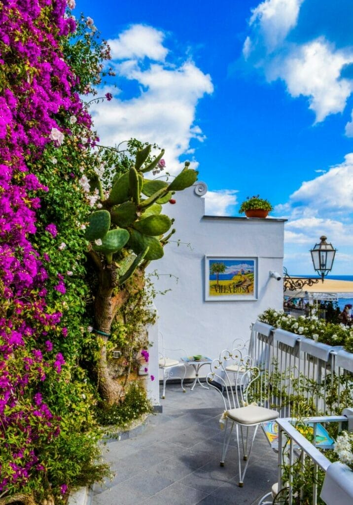 appartement avec des fleurs